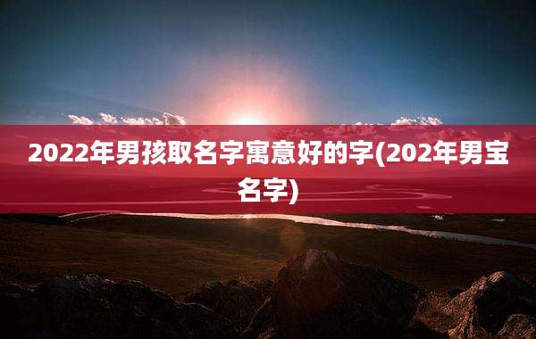 2022年男孩取名字寓意好的字(202年男宝名字)