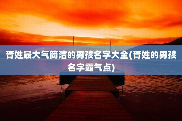 胥姓最大气简洁的男孩名字大全(胥姓的男孩名字霸气点)