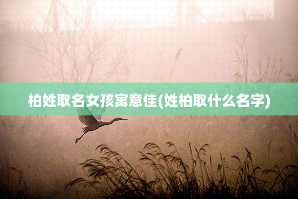 柏姓取名女孩寓意佳(姓柏取什么名字)