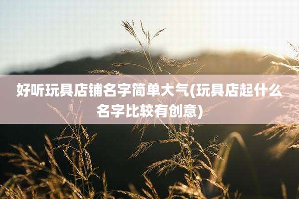 好听玩具店铺名字简单大气(玩具店起什么名字比较有创意)