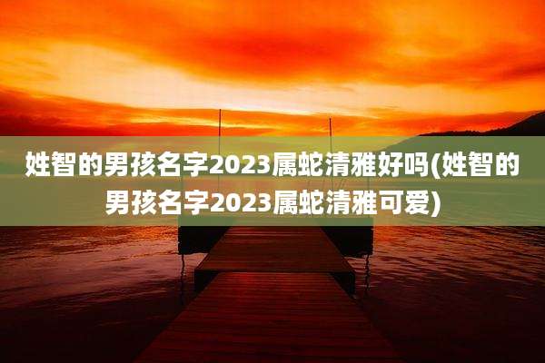 姓智的男孩名字2023属蛇清雅好吗(姓智的男孩名字2023属蛇清雅可爱)