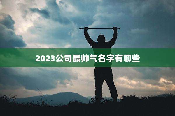 2023公司最帅气名字有哪些