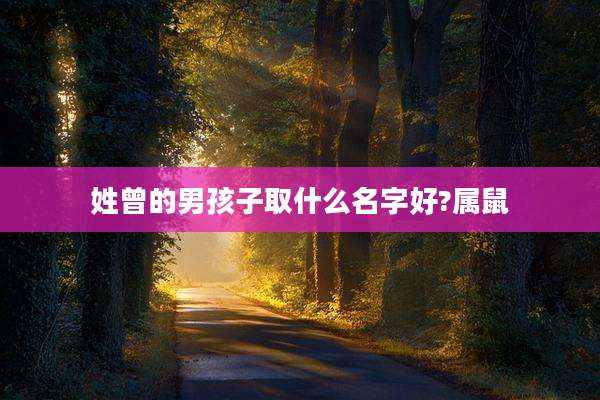 姓曾的男孩子取什么名字好?属鼠