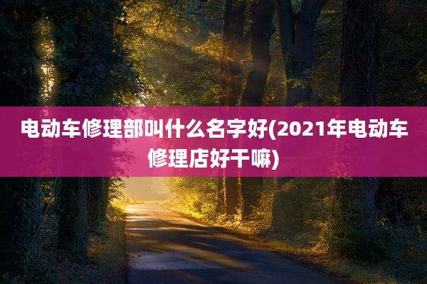 电动车修理部叫什么名字好(2021年电动车修理店好干嘛)