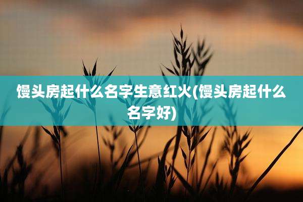 馒头房起什么名字生意红火(馒头房起什么名字好)