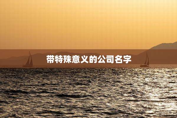 带特殊意义的公司名字