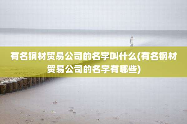 有名钢材贸易公司的名字叫什么(有名钢材贸易公司的名字有哪些)