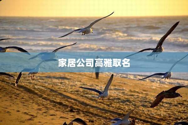 家居公司高雅取名