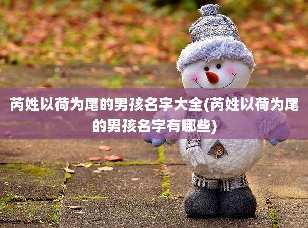 芮姓以荷为尾的男孩名字大全(芮姓以荷为尾的男孩名字有哪些)