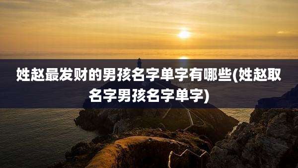 姓赵最发财的男孩名字单字有哪些(姓赵取名字男孩名字单字)
