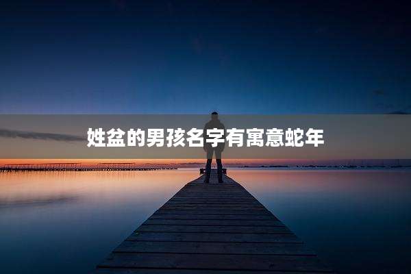 姓盆的男孩名字有寓意蛇年