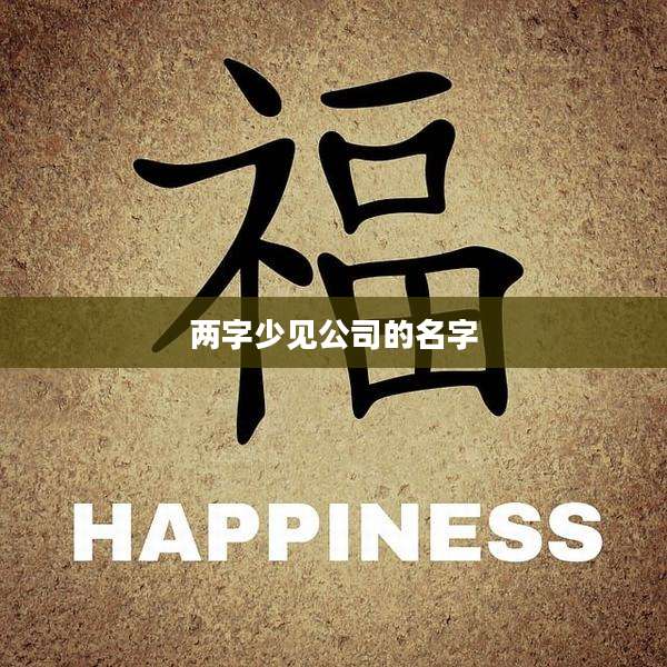 两字少见公司的名字