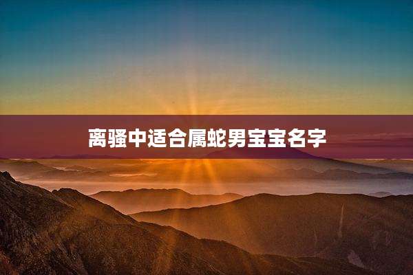 离骚中适合属蛇男宝宝名字