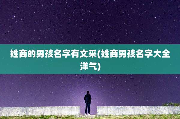 姓商的男孩名字有文采(姓商男孩名字大全洋气)