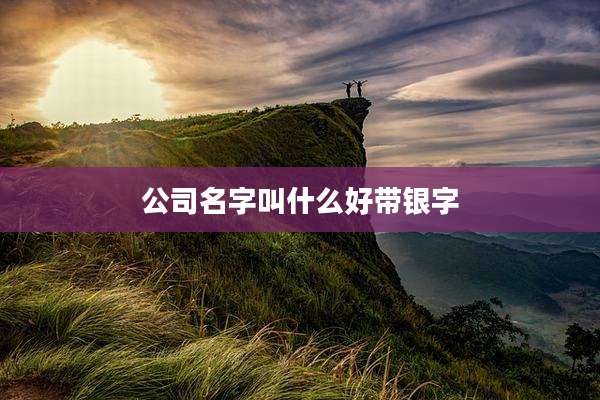 公司名字叫什么好带银字