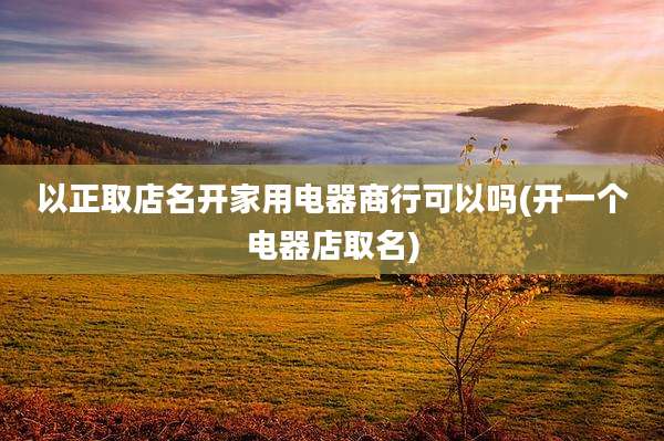 以正取店名开家用电器商行可以吗(开一个电器店取名)
