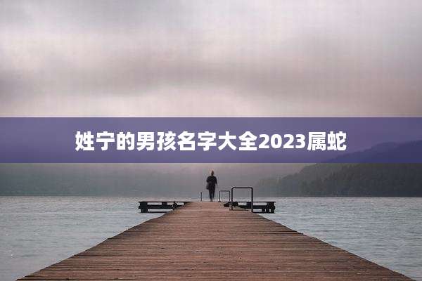 姓宁的男孩名字大全2023属蛇