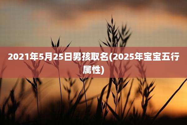 2021年5月25日男孩取名(2025年宝宝五行属性)