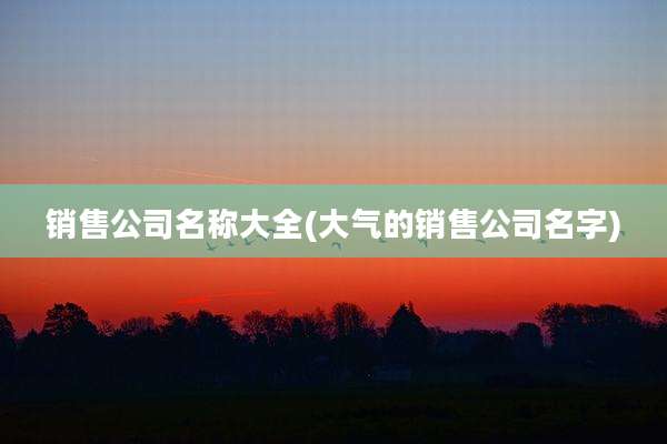 销售公司名称大全(大气的销售公司名字)