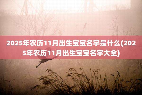 2025年农历11月出生宝宝名字是什么(2025年农历11月出生宝宝名字大全)