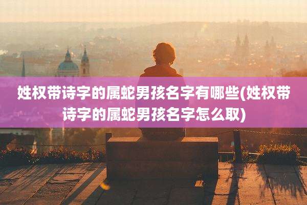 姓权带诗字的属蛇男孩名字有哪些(姓权带诗字的属蛇男孩名字怎么取)
