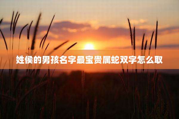 姓侯的男孩名字最宝贵属蛇双字怎么取