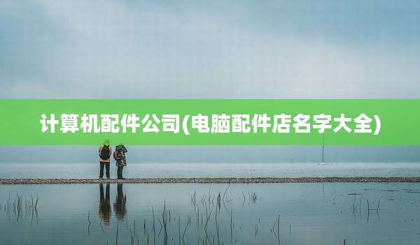 计算机配件公司(电脑配件店名字大全)