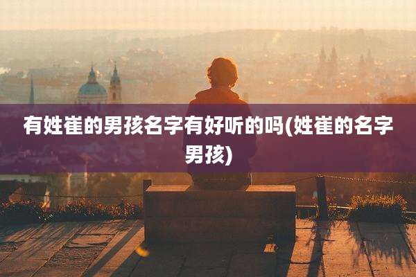 有姓崔的男孩名字有好听的吗(姓崔的名字男孩)