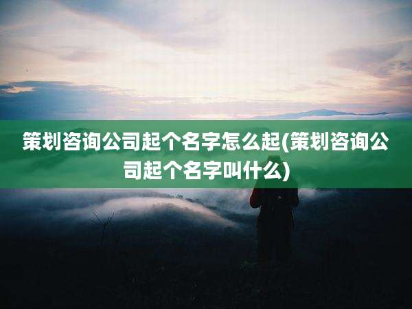 策划咨询公司起个名字怎么起(策划咨询公司起个名字叫什么)