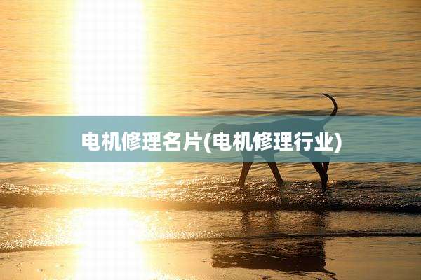 电机修理名片(电机修理行业)