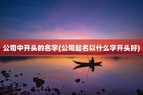 公司中开头的名字(公司起名以什么字开头好)