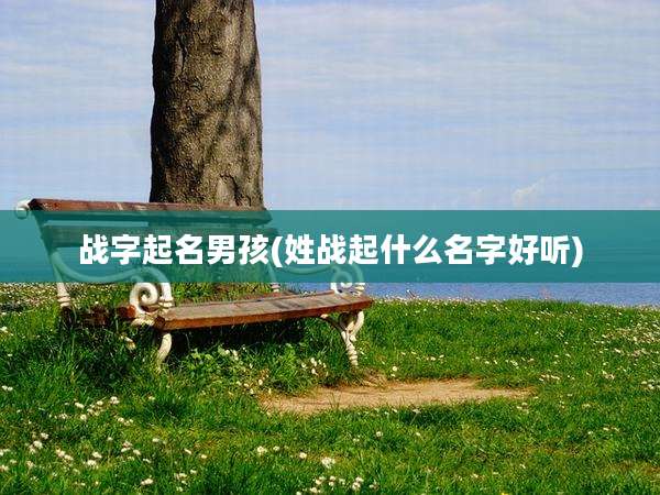 战字起名男孩(姓战起什么名字好听)