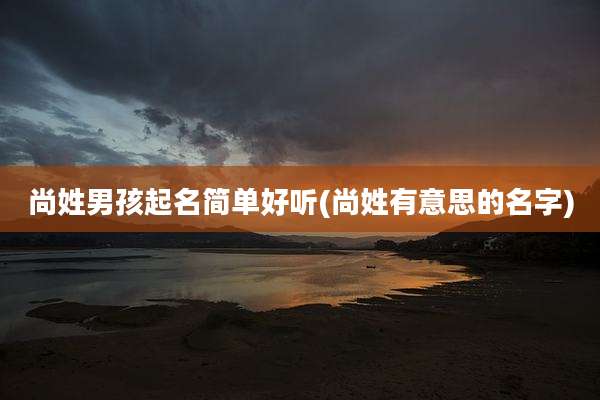 尚姓男孩起名简单好听(尚姓有意思的名字)