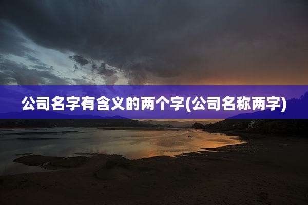 公司名字有含义的两个字(公司名称两字)