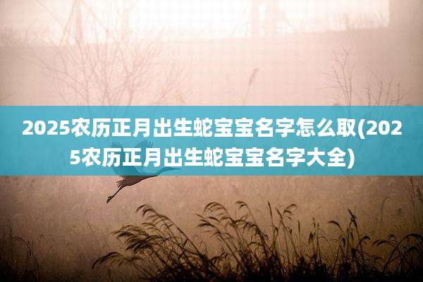 2025农历正月出生蛇宝宝名字怎么取(2025农历正月出生蛇宝宝名字大全)