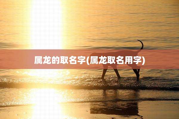 属龙的取名字(属龙取名用字)