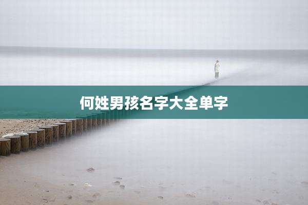 何姓男孩名字大全单字