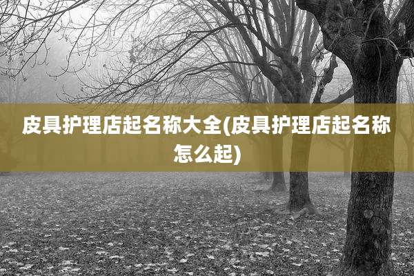 皮具护理店起名称大全(皮具护理店起名称怎么起)