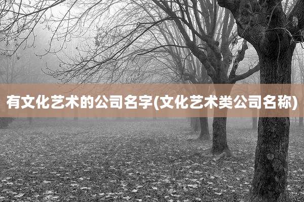 有文化艺术的公司名字(文化艺术类公司名称)