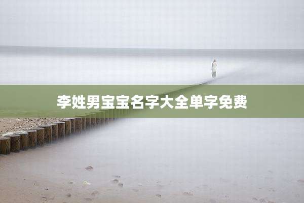李姓男宝宝名字大全单字免费