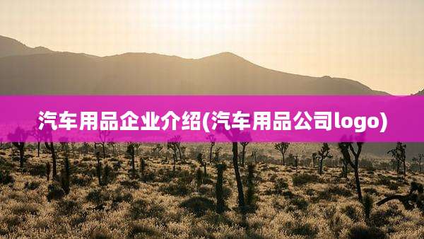 汽车用品企业介绍(汽车用品公司logo)
