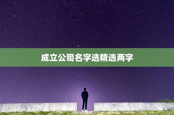 成立公司名字选精选两字