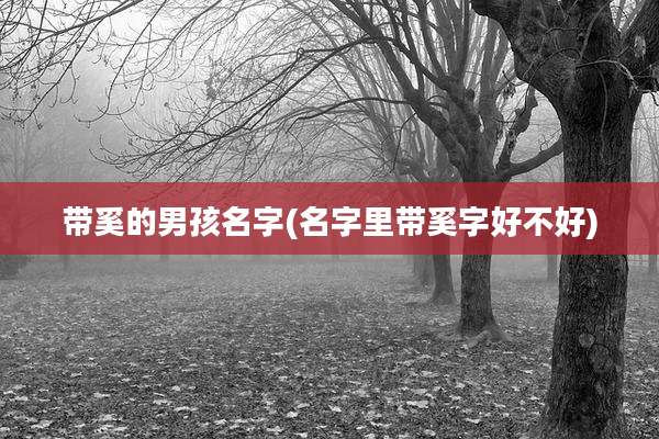 带奚的男孩名字(名字里带奚字好不好)