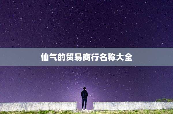 仙气的贸易商行名称大全