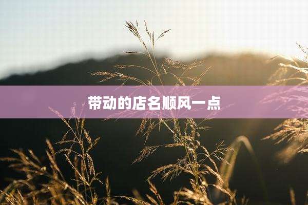 带动的店名顺风一点