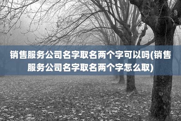 销售服务公司名字取名两个字可以吗(销售服务公司名字取名两个字怎么取)