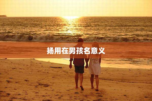 扬用在男孩名意义