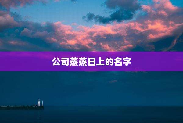 公司蒸蒸日上的名字