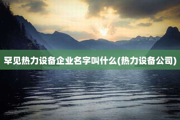 罕见热力设备企业名字叫什么(热力设备公司)