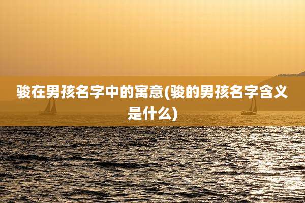 骏在男孩名字中的寓意(骏的男孩名字含义是什么)